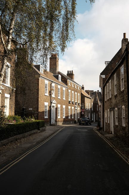 A residential street during daytime with rows of parked cars on both sides, including various models of sedans, hatchbacks, and vans, some covered with protective fabric. The street surface is asphalt, with a slight incline and no visible curb separation. In the background, there are trees with lush green foliage and well-maintained small front gardens with bushes and colorful plants. Overhead, there are power lines stretching across the sky, which is partly cloudy with grey clouds. The scene is quiet with no pedestrians or moving vehicles visible. This setting provides a typical environment for house removals and furniture transport services offered by manwithvanwalthamstow.co.uk, suitable for discussions about home relocation logistics in narrow streets like those in Walthamstow.